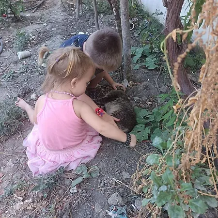 Tente de luxe Princ Tents