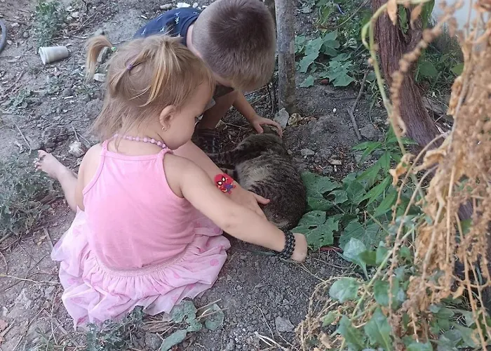 Tente de luxe Princ Tents